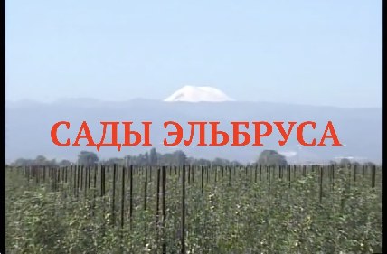 Яблоневые «Сады Эльбруса». «Червивый» интерес отдельных сотрудников УФСБ