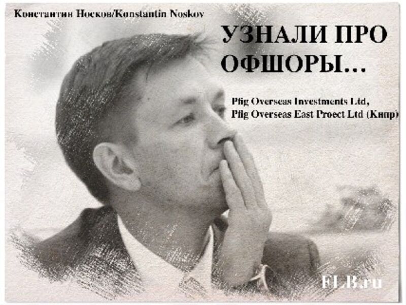 Конёк-горбунок российской цифровизации